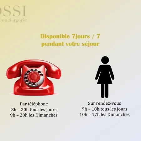 T3 Double Terrasses Clim Wifi En Centre-ville - Rossiconciergerie - Linge Inclus