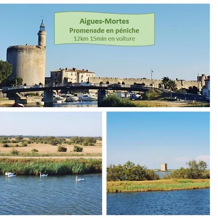T3 Double Terrasses Clim Wifi En Centre-ville - Rossiconciergerie - Linge Inclus Διαμέρισμα